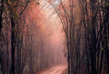 全网独家首发《赫拉德马丁战术分析》.:海星体育