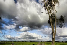 加斯佩里尼:输给国米后就失去了夺冠希望,但亚特兰大仍排名第三.